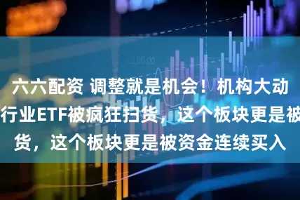 六六配资 调整就是机会！机构大动作调仓，23只行业ETF被疯狂扫货，这个板块更是被资金连续买入