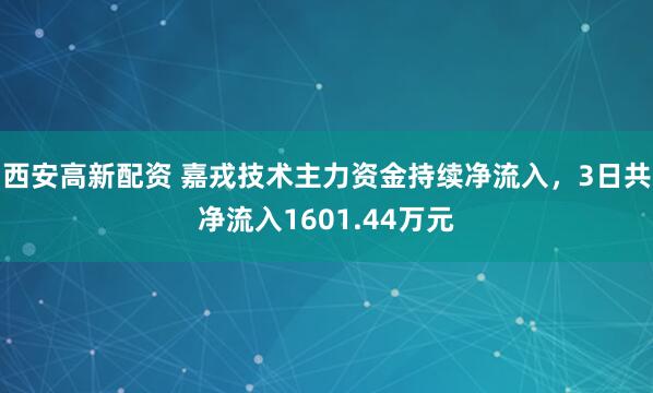西安高新配资 嘉戎技术主力资金持续净流入，3日共净流入1601.44万元