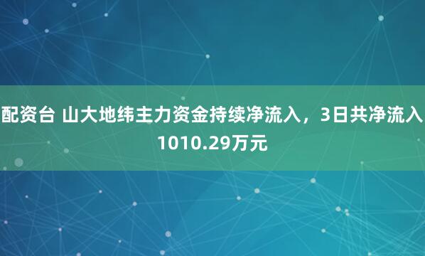 配资台 山大地纬主力资金持续净流入，3日共净流入1010.29万元