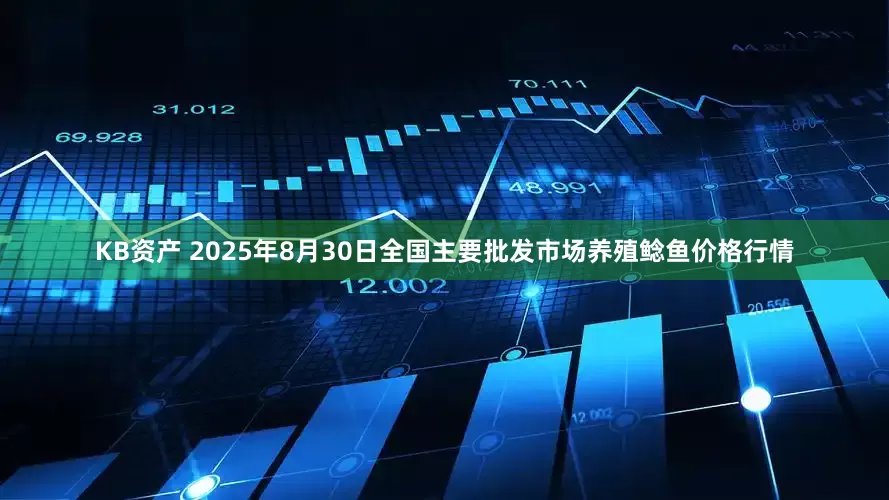 KB资产 2025年8月30日全国主要批发市场养殖鲶鱼价格行情