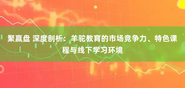 聚赢盘 深度剖析：羊驼教育的市场竞争力、特色课程与线下学习环境