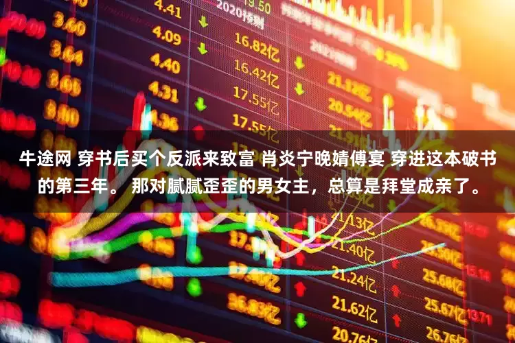 牛途网 穿书后买个反派来致富 肖炎宁晚婧傅宴 穿进这本破书的第三年。 那对腻腻歪歪的男女主，总算是拜堂成亲了。